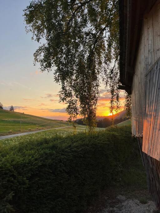Nuit Insolite - La Cabane Du Haut-Doubs Les Gras Bagian luar foto